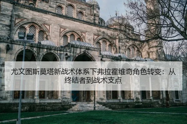 you-wen-tu-si-mo-ta-xin-zhan-shu-ti-xi-xia-fu-la-huo-wei-qi-jue-se-zhuan-bian-cong-zhong-jie-zhe-dao-zhan-shu-zhi-dian-2-211.jpg