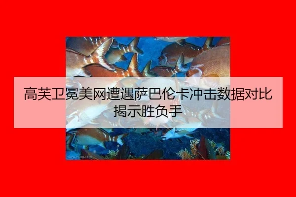 gao-fu-wei-mian-mei-wang-zao-yu-sa-ba-lun-ka-chong-ji-shu-ju-dui-bi-jie-shi-sheng-fu-shou-2-847.jpg