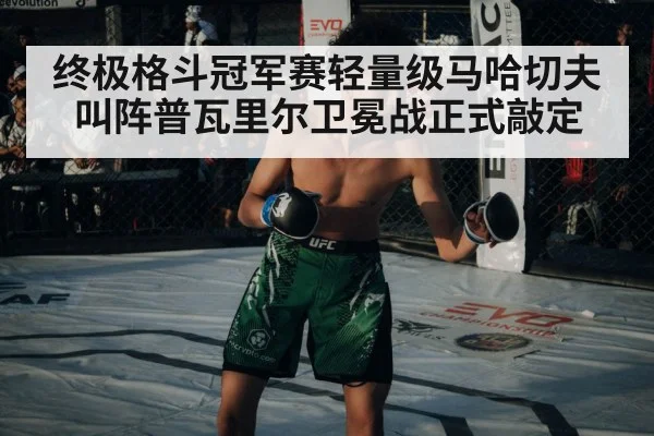 终极格斗冠军赛轻量级马哈切夫叫阵普瓦里尔卫冕战正式敲定